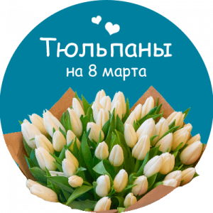 Купить тюльпаны в Славске